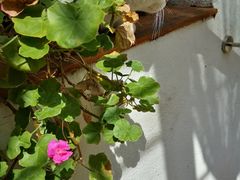-三仟津花园咖啡馆