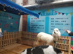 -佟小曼手工茶饼坊(鼓浪屿1店)