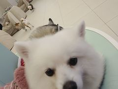 -怪兽屋·羊驼·猫咖·狗咖(俊华广场店)