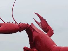 -虾皇(龙虾城旗舰店)