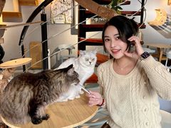 -豆逗聊愈猫阁Easy Life