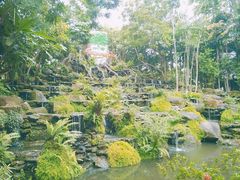 -绿光森林餐厅