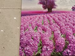 -紫光园·烤鸭·北京菜(劲松店)