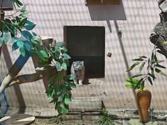 -青藏高原野生动物园