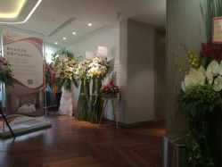 -海豚湾高端月子会所(黄浦店)