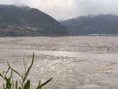 -北岐滩涂