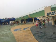 -秦皇岛乐岛海洋王国