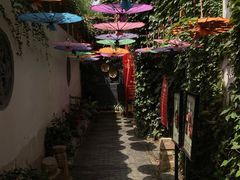 -鱼食饭稻·苏浙土菜17年老馆子(平江路店)