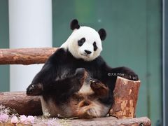 -天津市动物园