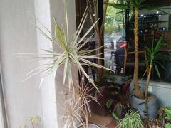 -在咖啡INCOFFEE(ICC升龙环球中心店)