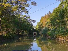 -上海长兴岛郊野公园