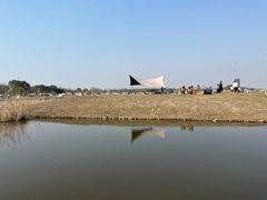 -春花秋色城市公园