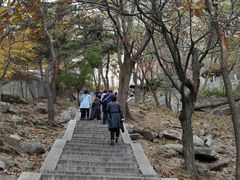 -崂山仰口游览区