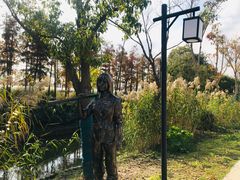 -上海长兴岛郊野公园