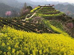 -石潭村