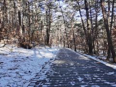 -帽儿山国家森林公园