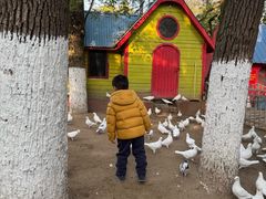 -荆州中山公园动物园