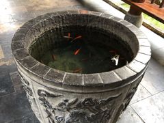 -不倒翁·徽天下名菜楼(马鞍山路店)