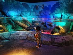 -沈阳海洋探索中心