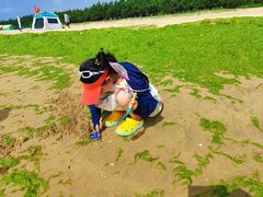 -日照海滨国家森林公园