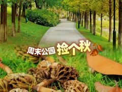 -沐仙湖湿地公园