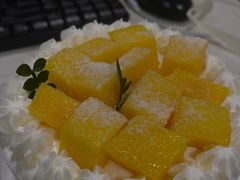 -今日·TODAY手作低脂动物奶油蛋糕定制(高新万达店)