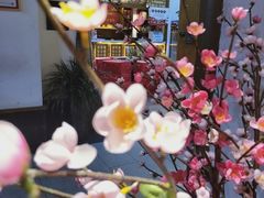 -丁里羊肉小镇(太宁路口店)