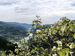 -舒家湾天主教堂