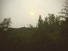 -上海市保健医疗中心(华东疗养院)