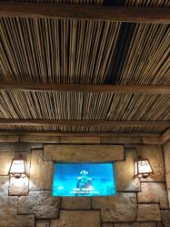 -翱翔飞越地平线