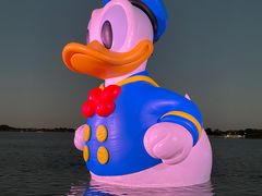 -迪士尼小镇