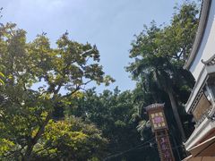 -南宁南湖公园
