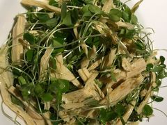 香椿苗拌腐竹-老阿妈蒙古村·蒙古包·草原文化·歌舞表演(老君堂店)