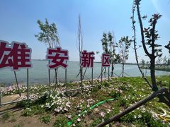 -白洋淀风景区
