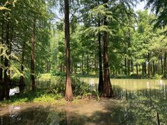 -西溪国家湿地公园