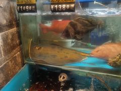 -老宁波1381餐厅(宏泰广场店)