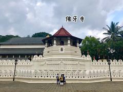 -Ministry of Crab(科伦坡店)