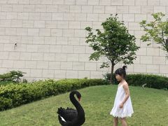 -行者书屋大堂吧 ·下午茶(南京圣和府邸酒店)