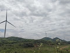 -齐岳山