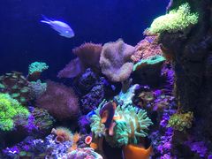 -成都浩海立方海洋公园