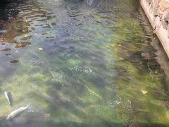 -京北渔家傲