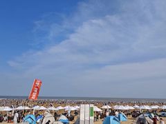 -日照海滨国家森林公园