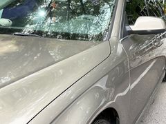 -XPEL旗舰店·汽车贴膜·隐形车衣·改色贴膜