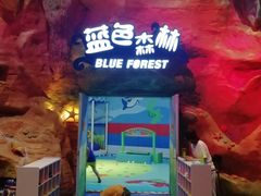 -青岛嘉年华主题乐园