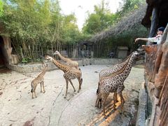 -长鹿旅游休博园