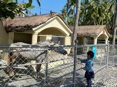 -三亚亚龙湾天域度假酒店