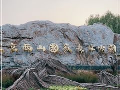 -北京西山国家森林公园