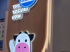 -一只酸奶牛(春熙路店)