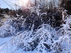-北京南山滑雪场