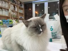 -美迦爱-牙专科·兔科·骨科诊疗中心(北苑店)